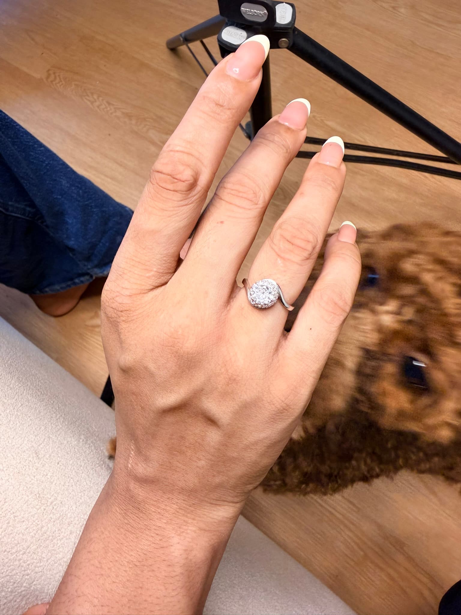 Silver Halo Sparkle Ring (Adjustable) 2